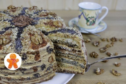 ���� "������� ������": ������� �������������