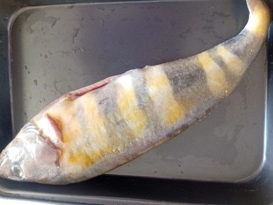 ������ � ������� ������ ���������