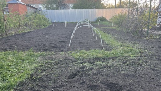 ��� ��������� ������� �� ������� ������ ������: ������� �������� ������