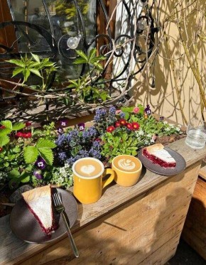 ����� ���� �� �����������