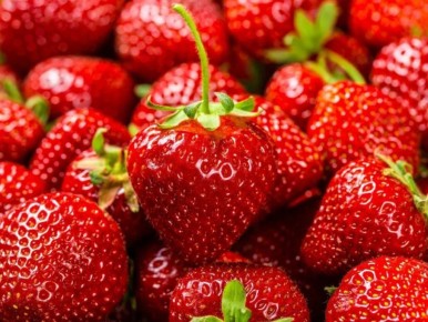 ��������� ���� ����: ��� ���������� �������� �� ����