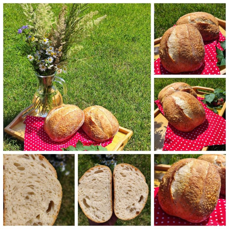 ������ ������������: ��� �������� ������� ���������� ���������