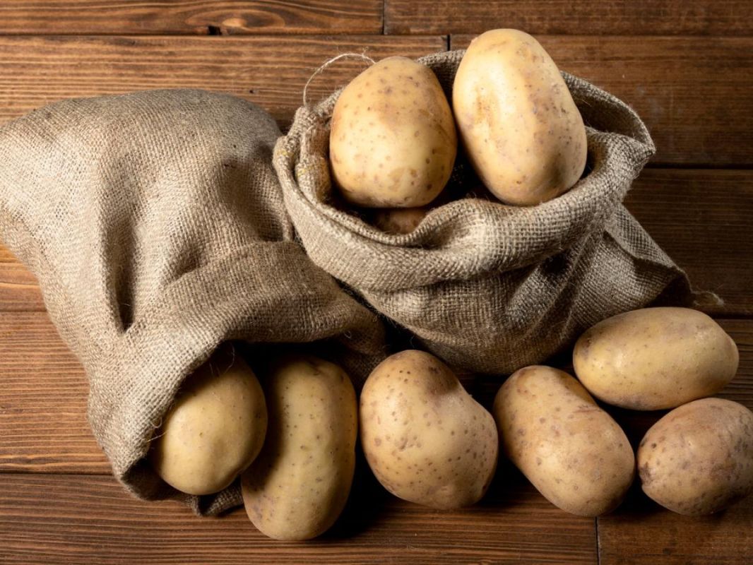 Картофельные новинки: сорта, которые обязаны быть в вашем огороде