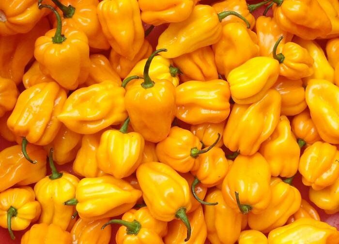 ��������� �������� � �����: ������� ��������� �������