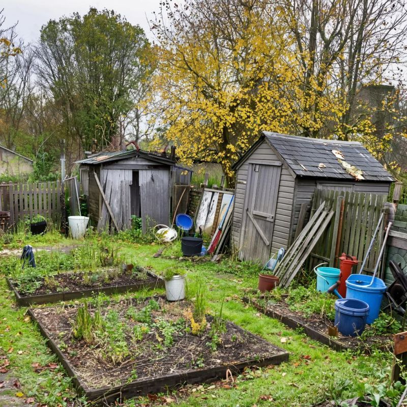 ��� ����� ���� ������ ���������� ����: ������������� ������� ��������������