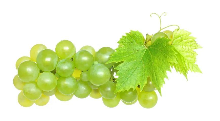 Листья винограда: неожиданные преимущества и осторожности для здоровья
