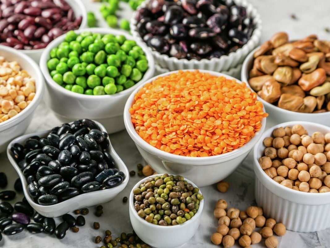 ����� �����, ������������ ����������������� �������� ����������