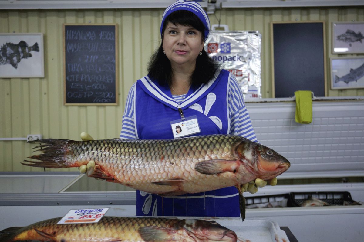 ����������� ��������� ����� ����������� ����