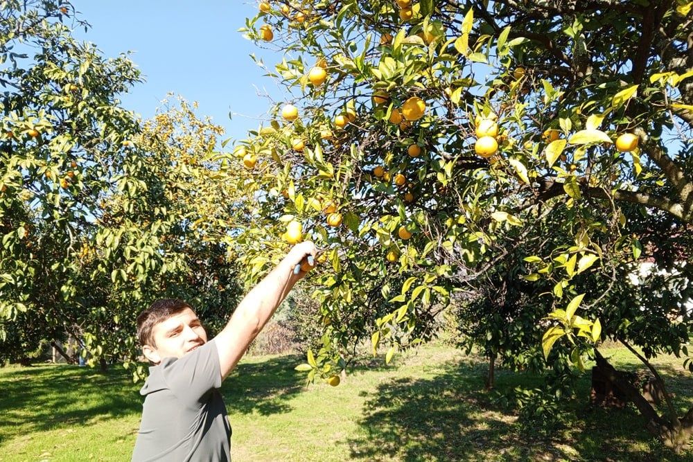 ������ ��������� ����������: ������� �� ������� � ���������� ����������?