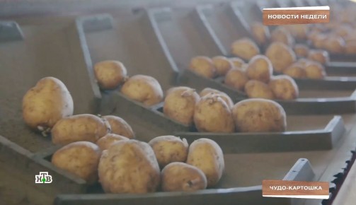 ����� ����� ���������� ������ ���������: ������ �� ������������� ������