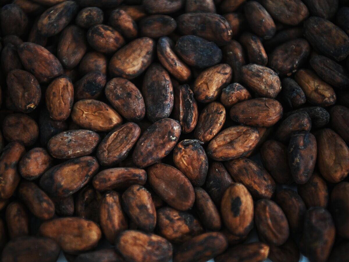 Цены на какао-бобы продолжают падение, опустившись ниже 5600 долларов за тонну