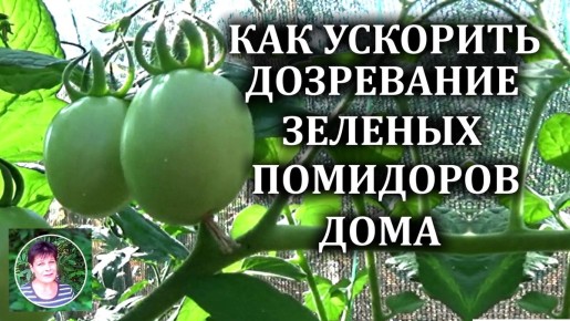 ��� ������ ������� ��������� ������� ������� � �������� ��������