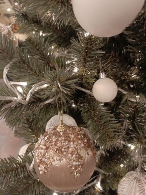 ������ ���� ��� ������� ������ ����: ������ �� ���������