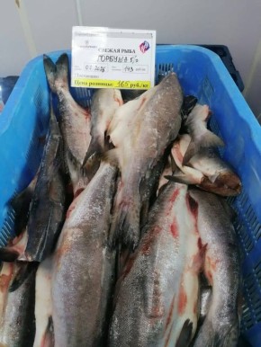 В продаже свежемороженая горбуша по невероятной цене