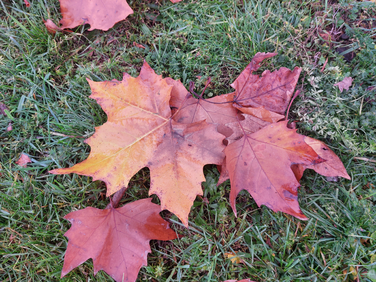 Культурные выходные: В поисках осеннего вдохновения