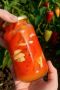Секреты вкусного маринованного сладкого перца
