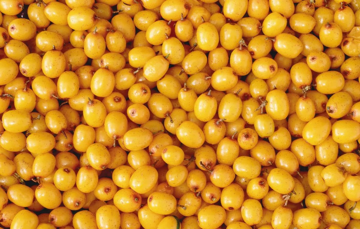 ��������� ������� ��������: 5 ����� �������� ��� �������� ����