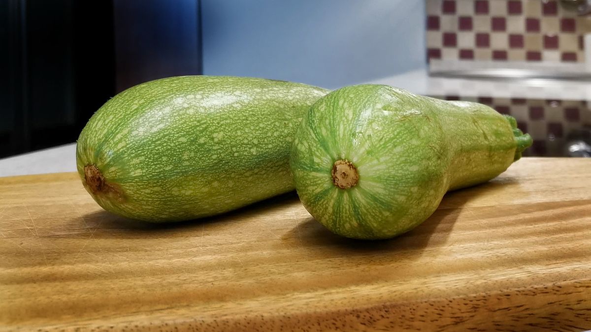 ������ ���: ��������� �������, ������� ������ �������� �� �����