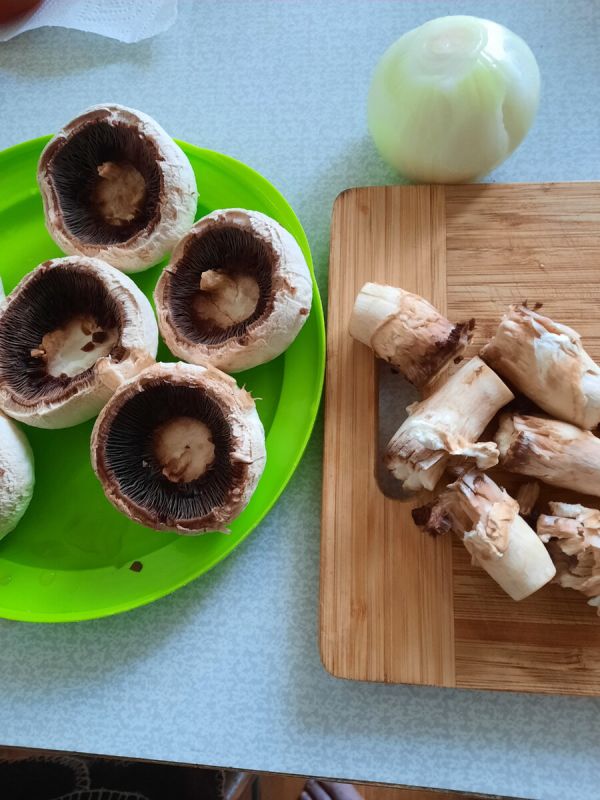 ����������, ������������� �����: ������� � ������� ������