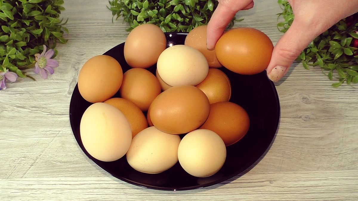 ��� ����� �������� ������ ����: ����������� ����� �� �����