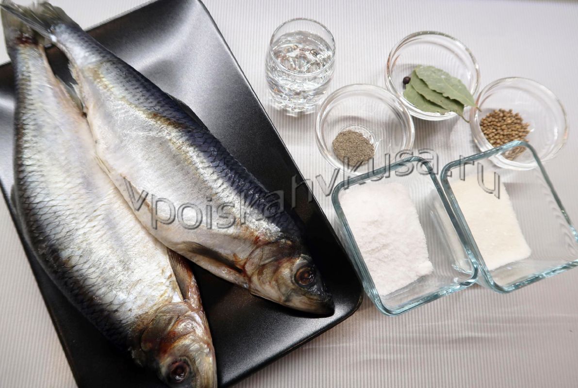 ��� ����������� ��������� ����������� ������ � �������� ��������