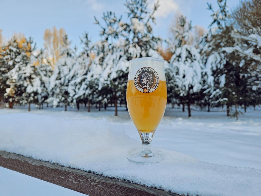 ���-10 ������ ������� ������ 2026 ����