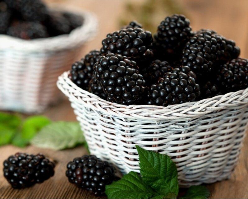 ��������� �������� �������: ������ ����� �������� �� � ���� ������