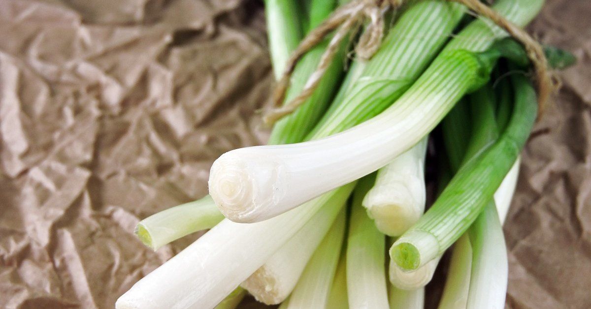 ��� ��������� �������� �������� ���� �� ��� ������