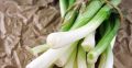Как сохранить свежесть зеленого лука на два месяца