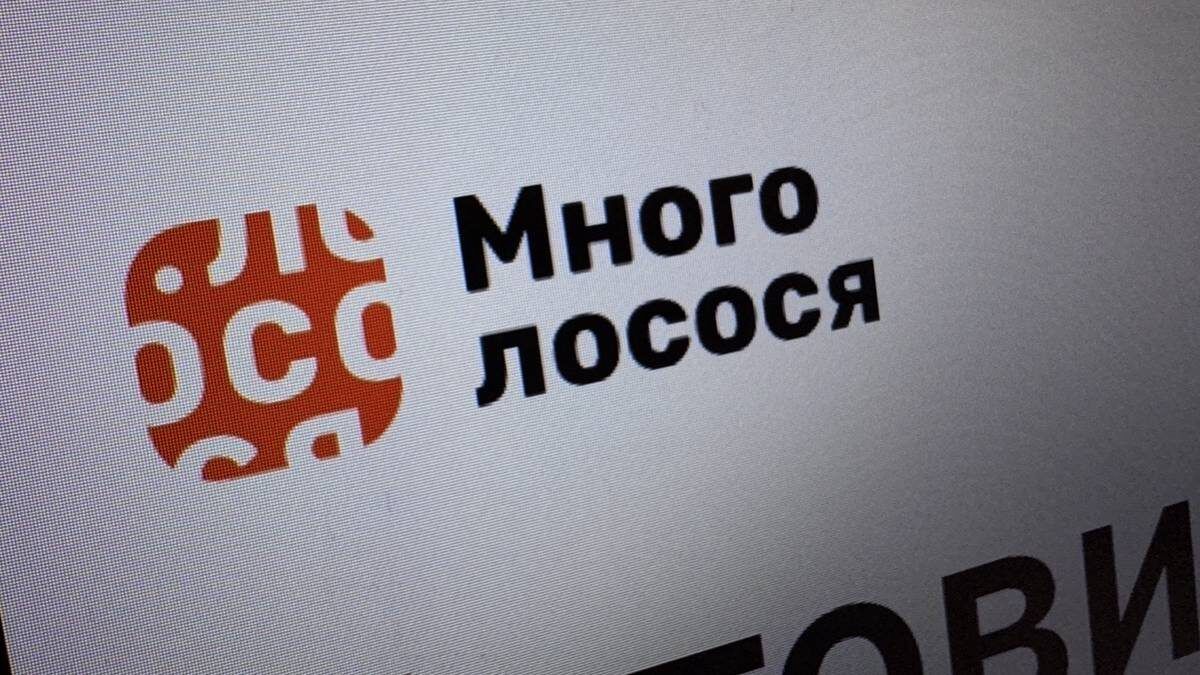 ���� ���������� ������ ������� ������� ����� ����� ���������� ��������