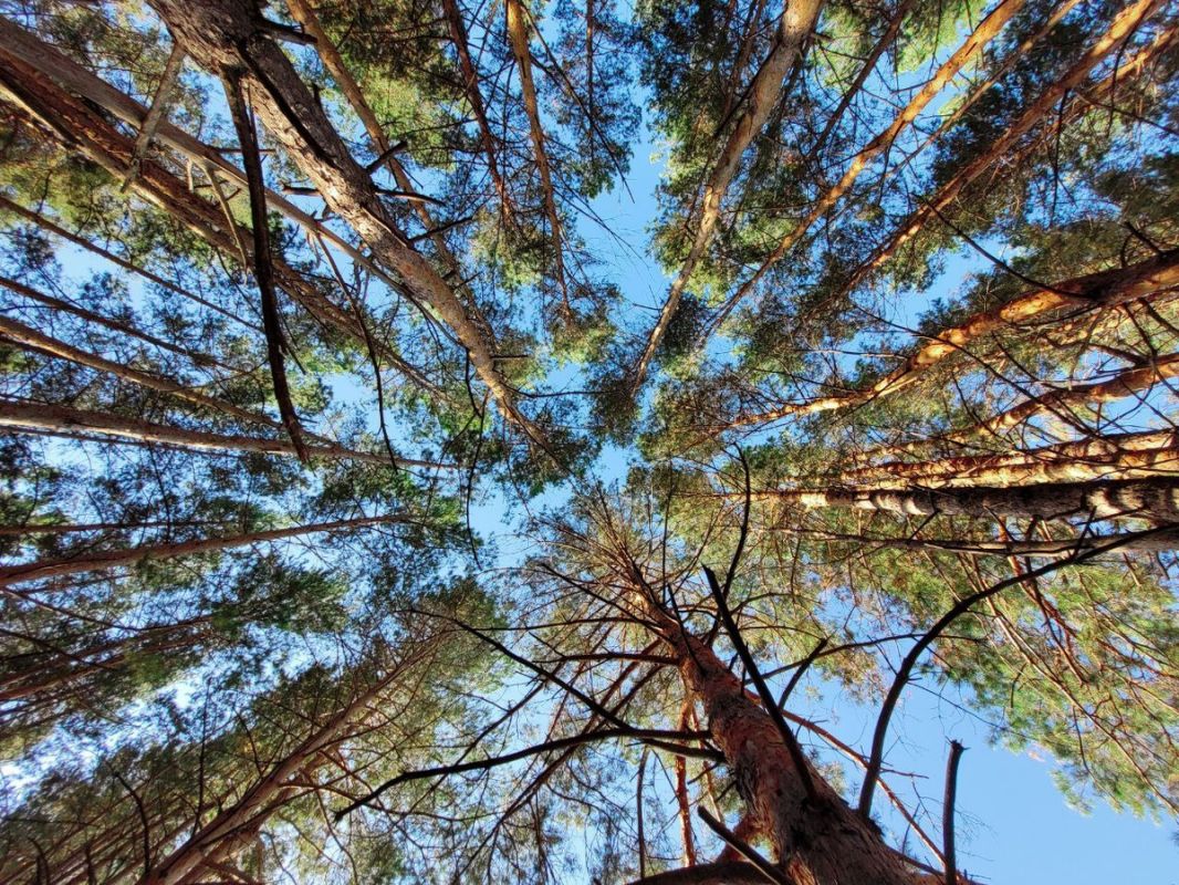 ��� ��������� �������� �����: ������ �� ���������� � ��������� � ����