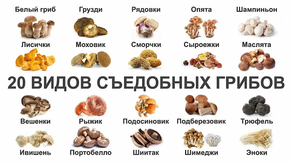 ����� �����: ��� ����� ���� ��� ��������