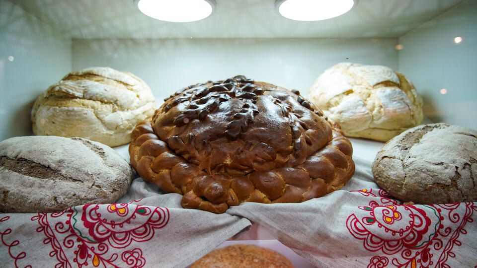 ������� �������: �������� ������ ����� ������ ������ ����