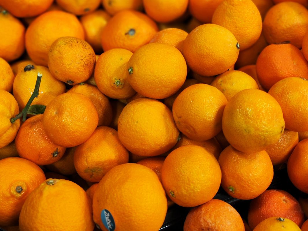 ��� ������� ��������� ���������: ������ ��������� �����������