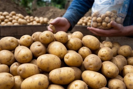 ����������� ���������� ���� �� ���������: ��� � ������������ ��� ���� ��� �����?