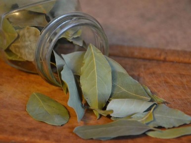 �������� ���� � ������: ������ ��������� � ����������� ��������