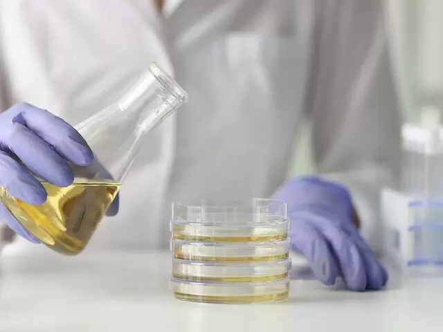 Роскачество выявило фальсификацию в оливковом масле, почти в половине проверенных брендов