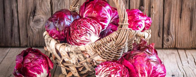 Невероятный салат с красной и пекинской капустой: яркие вкусы и свежесть