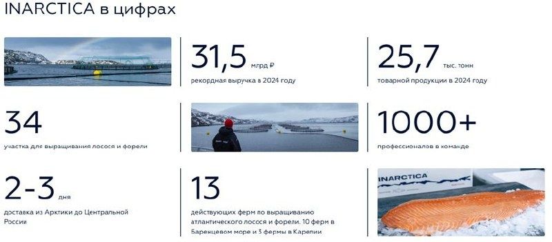 Инарктика: новые горизонты и вызовы в 2025 году