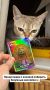 Когда коты становятся ночными поварами