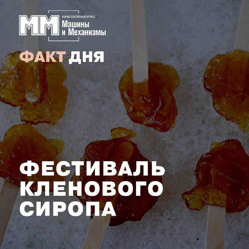 Кленовый фестиваль в Канаде: история, процесс сбора и практические детали