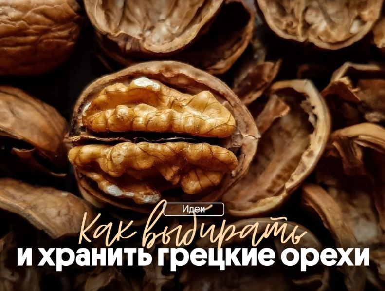 Грецкие орехи: секреты выбора, хранения и кулинарного использования