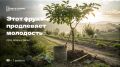 Как вырастить экзотическую хурму на даче и почему это важно