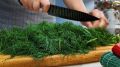 Как сохранить укроп на зиму: простая и вкусная закуска без закатки